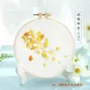 Bordado DIY Hecho a Mano Bordado Propio Materiales para Principiantes Producción Abanico de Bordado Regalo Estilo Antiguo Cinta Abanico de Puntos Bordado Elástico