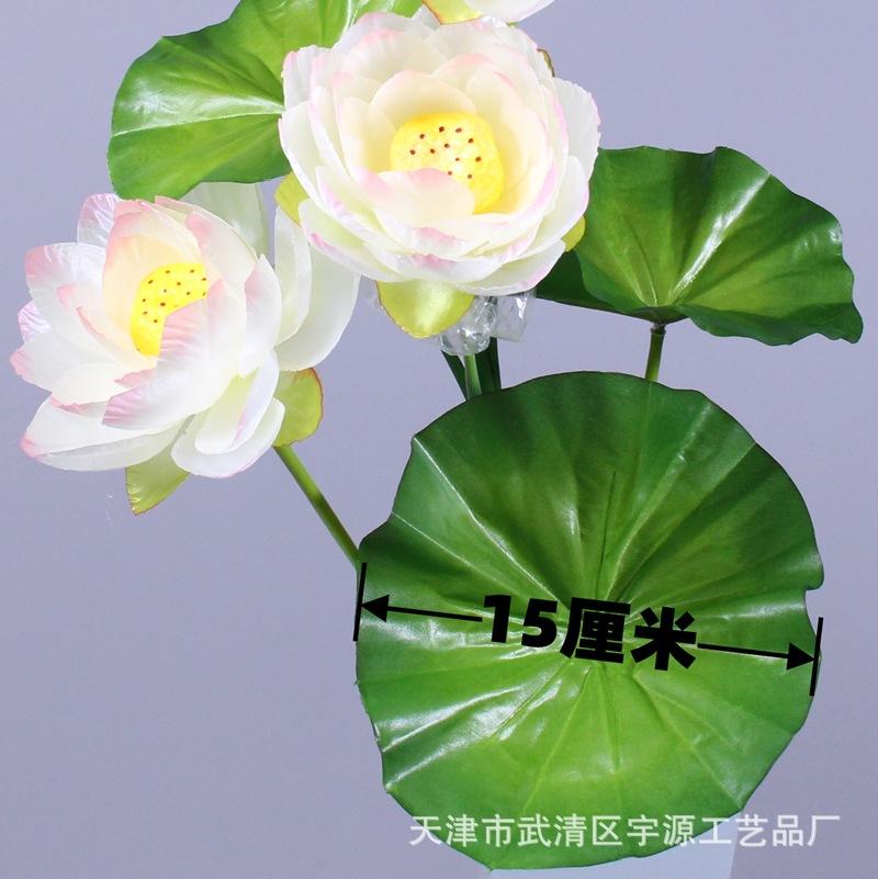 IMG_9951_副本.jpg