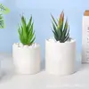 Suculenta Flor de Porcelana Branca Bonsai Simples Criativo Alto Padrão Cerâmica Branca Jardinagem Doméstica Exportação Internacional Planta Verde Vaso de Cerâmica