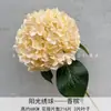 Flor de Simulación 3D Tallo Único 216 Pétalos Hortensia Grande Soleada Flor de Boda Arreglo Decoración Celebridad de Internet Hogar Decoración Suave Comercio Exterior al por Mayor