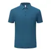 Camisa Polo de Manga Corta para Hombre, Verano, Delgado, Seda de Hielo, Gama Alta, Casual de Negocios, Elástica, Cuello Camisero, T-Shirt, Talla Regular