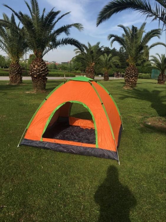 8786322805_1233569569