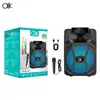 Bt-8110 Pedido de Exportación Transfronteriza de Comercio Exterior Altavoz Bluetooth de 8 pulgadas con Conexión por Cable, Altavoz Colorido para Exteriores en Stock