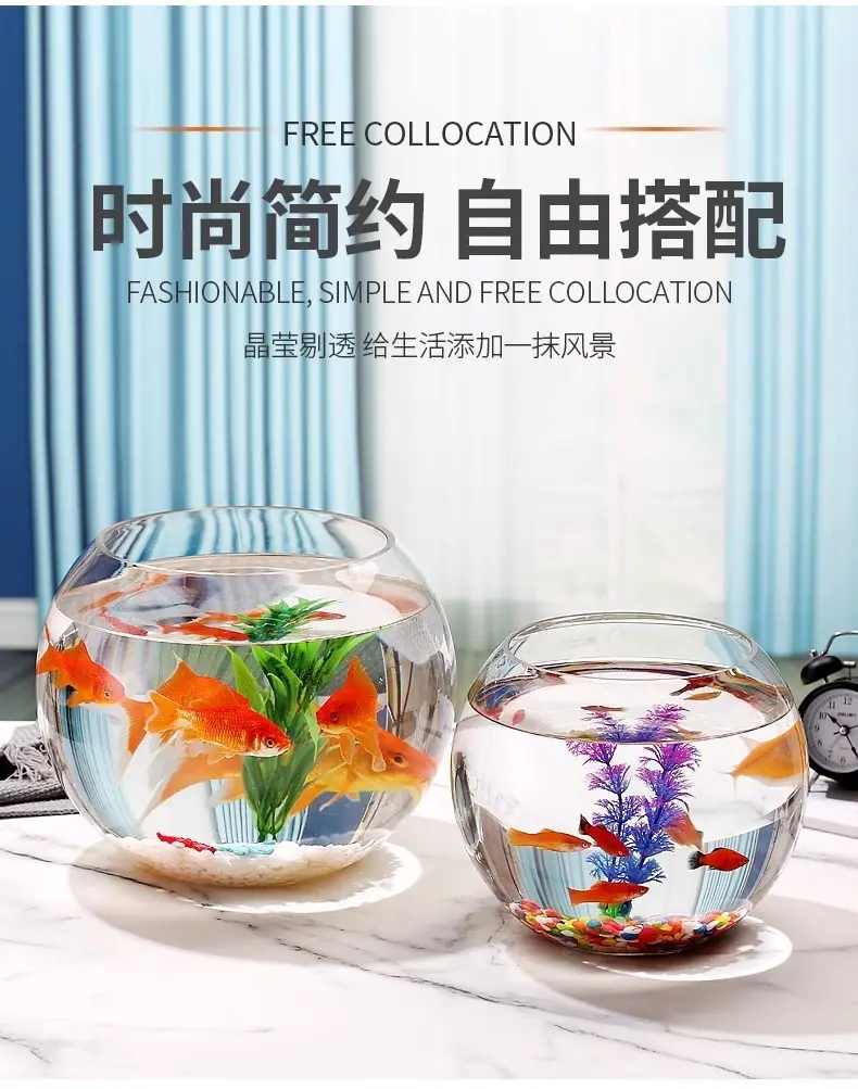 a3c912ff-d5f7-4521-a2f7-0bc26b06da23.jpe