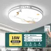 Nueva Lámpara de Techo para Sala de Estar Estilo Chino 5 Lámparas de Techo LED para Hogar Nueva Lámpara de Techo Simple y Grande para Habitación Dormitorio Estilo Moderno Minimalista Hierro
