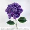 Flores artificiales de hortensia de 3 pétalos para bodas, arreglos florales hechos a mano de alta gama para decoración de salón de bodas, pared de flores DIY y arreglos de suelo