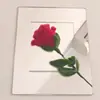 Lentes Rectangulares de Múltiples Especificaciones Se Pueden Cortar en Lentes de Vidrio Cuadrados Según Sea Necesario. Espejos Cosméticos de Vidrio Multiespecificación Se Pueden Procesar Bajo Pedido