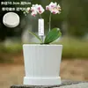 Vaso de Cerâmica para Flores com Prato, Estilo Ins de Luxo Leve, Diâmetro Grande, Estilo Creme, para Orquídeas e Suculentas, Liquidação