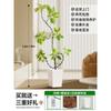 Forma de Hoja de Flor Árbol de Caucho Baniano Dorado Sala de Estar Planta Verde Baniano Rico Interior Oficina Planta Verde Planta Grande en Maceta