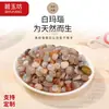 Pedra Original Variedade Natural de Cascalho Citrino Ametista Cristal Cascalho Decoração para Bonsai Pedra de Cristal Colorida Atacado