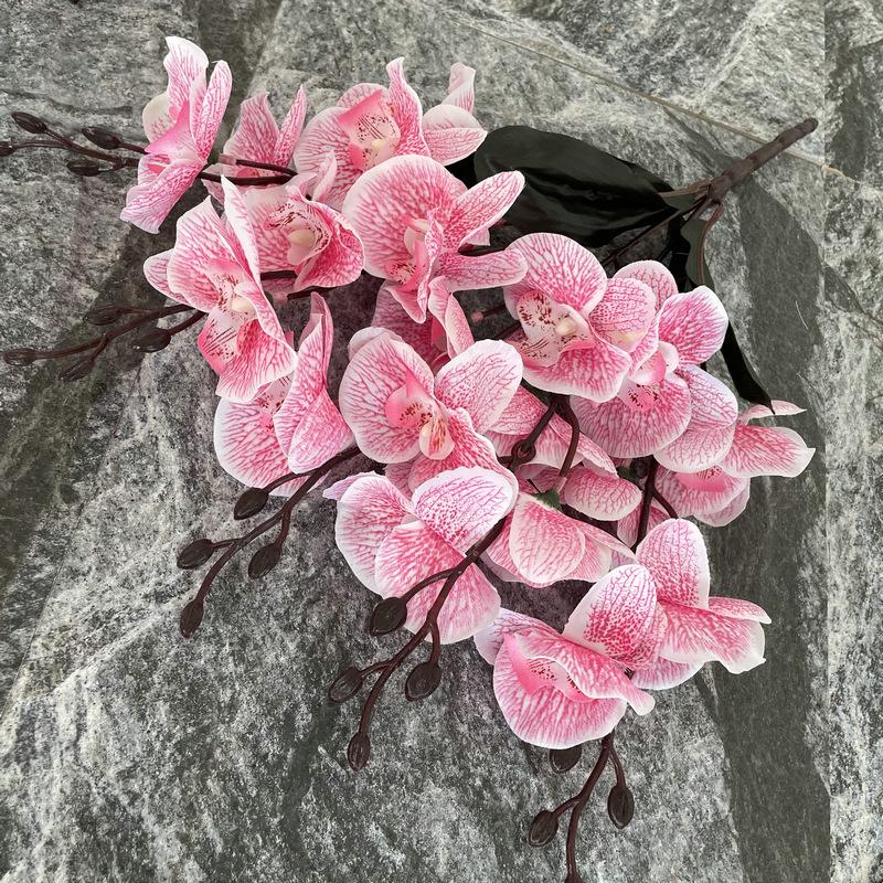 浅粉色.jpg