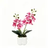 2 Flores Artificiales Phalaenopsis en Maceta Cuadrada Macetas de Piedra Accesorios de Fotografía para Sala de Estar Planta Verde Artificial Decoración de Película