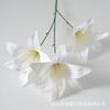Simulação flor 3 cabeça fita lírio 3D impressão casamento auditório decoração flor parede falso flor tiro adereços fábrica atacado