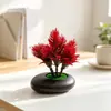 Suministro Directo Transfronterizo Mini Plantas Verdes Flores Falsas Plantas en Maceta Simulación Piedras Decorativas Maceta Plana Adornos Fotografía Foto Mini Bonsái Accesorios