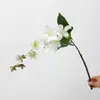 Colgante de planta Fruto de aliso Pegamento suave Fruto de frijol del amor Colgante de pared Decoración de paisajismo Accesorios para arreglos florales Seda suave
