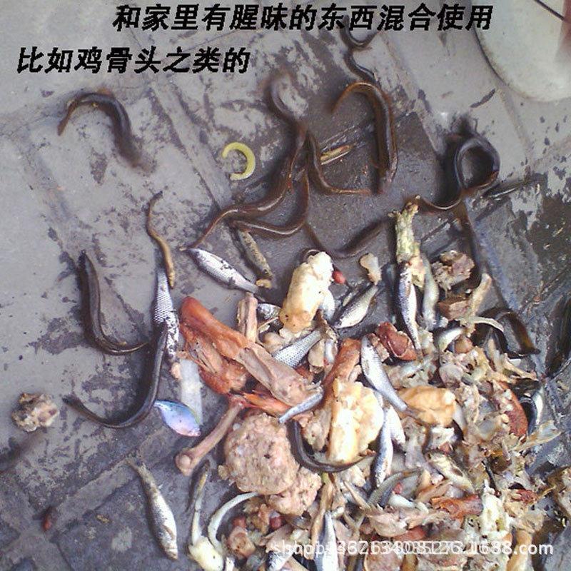 折叠笼子