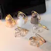 Colgante para Llavero, Gato de Aspecto Elegante, Carcasa Transparente, Colgante de Bola de Pelo, Almacenamiento de Pelo de Mascota, Llavero Creativo Listo para la Venta