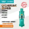 Bomba Submersível Preenchida com Óleo XinJie QY 100-250 m³/h para Irrigação de Terras Agrícolas e Fonte, Bomba Submersível Agrícola, Doméstica, Industrial 380V