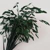 Yongsheng Flor Grama Xiaopan Atacado Fonte Fábrica Cabelo Reto Característica de Yunnan Flor Seca Flor Tingida Material de Flor Arranjo de Flores