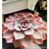 Tapete de Quarto em Forma de Flor Estéreo 3D Tapete de Chão para Banheiro Veludo Cristal Absorvente Antiderrapante Tapete para Pés de Pia de Banheiro