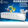 Processamento e Personalização Máquina de Lavagem com Bolhas de Couve-d'Água Pequena Comercial Ginseng Vegetal Esterilização por Ozônio Máquina de Lavagem de Vegetais para Remover Resíduos de Pesticidas