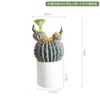 Ornamento Decorativo de Cacto Simulada Cactus de Interior Planta Verde Tropical do Deserto Paisagismo Vitrine Floreira Exibição