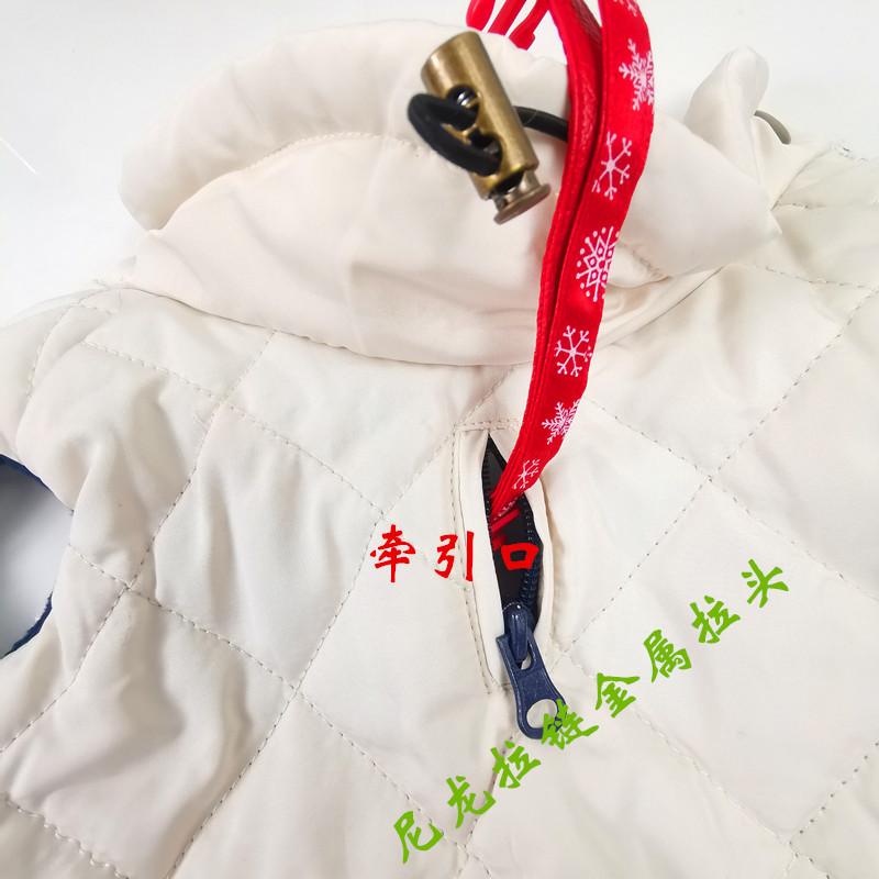 IMG_20191110_112530_副本