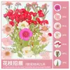 Paquete de Materiales DIY de Flores Secas Flores Prensadas Hechas a Mano Flores Conservadas Marcadores de Libros de Flores Prensadas Hojas de Árbol Real Plantas Pegatinas de Resina Maquillaje Facial