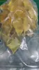 Máquina de Pegado con Adhesivo Termofusible de Escritorio Aplicador de Pegamento para Bordes de EVA Algodón Perlado Caja de Papel Máquina de Pegado con Adhesivo Sensible a la Presión de Partículas