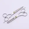Suministro de Fábrica Tijeras Divididas Pintura Plateada Juego de Tijeras de Acero Inoxidable para Barbería Peluquería Tijeras de Barbería para el Hogar