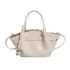 Bolso cubo de diseño de nicho transfronterizo para mujer, nueva colección otoño 2026, de alta gama, lujo discreto, adecuado para ir al trabajo, bolso de hombro o bolso cruzado