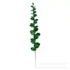Planta Verde Simulada Folha Única de Eucalipto Transfronteiriça Artificial Folha de Eucalipto Simulada Floresta Arranjo de Flores Cinza Adereços de Fotografia