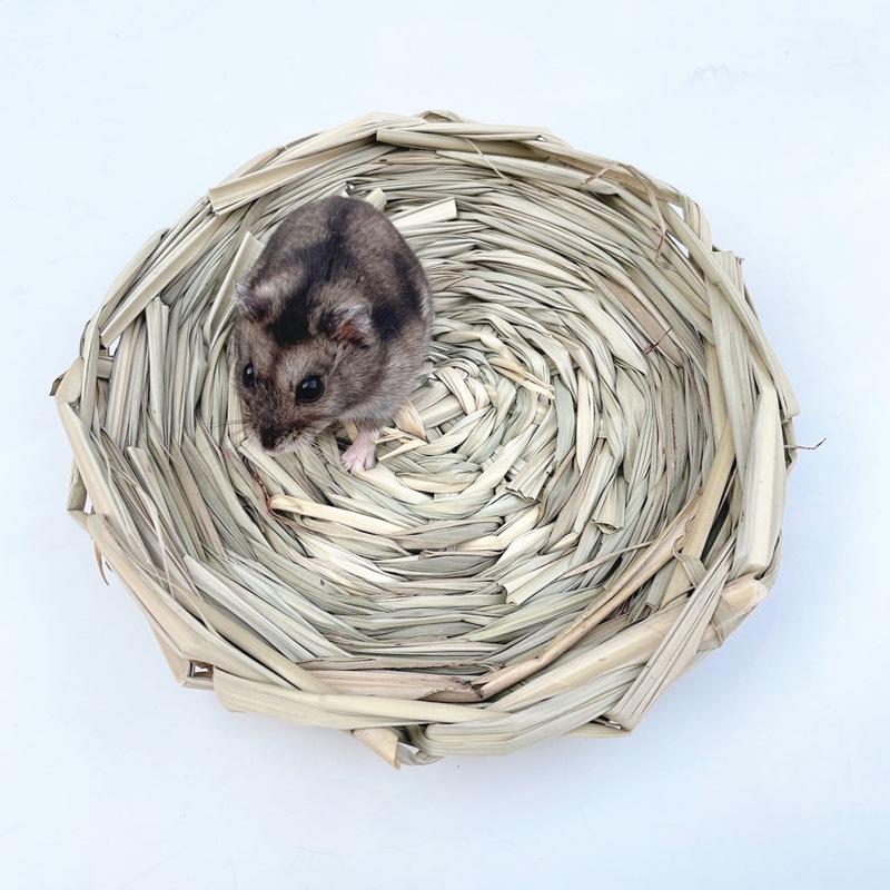 草盘子 (10)_副本.jpg