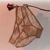 Calcinha Doce de Renda Sexy Vazada para Mulheres 2026 Nova Malha de Cintura Baixa Transparente Pura Luxúria Calcinhas Borboleta para Mulheres