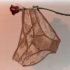 Calcinha de Renda com Laço para Menina Doce 2026 Nova Sexy Recortada com Tira Fina Tentação Hot Love Tanga para Mulheres