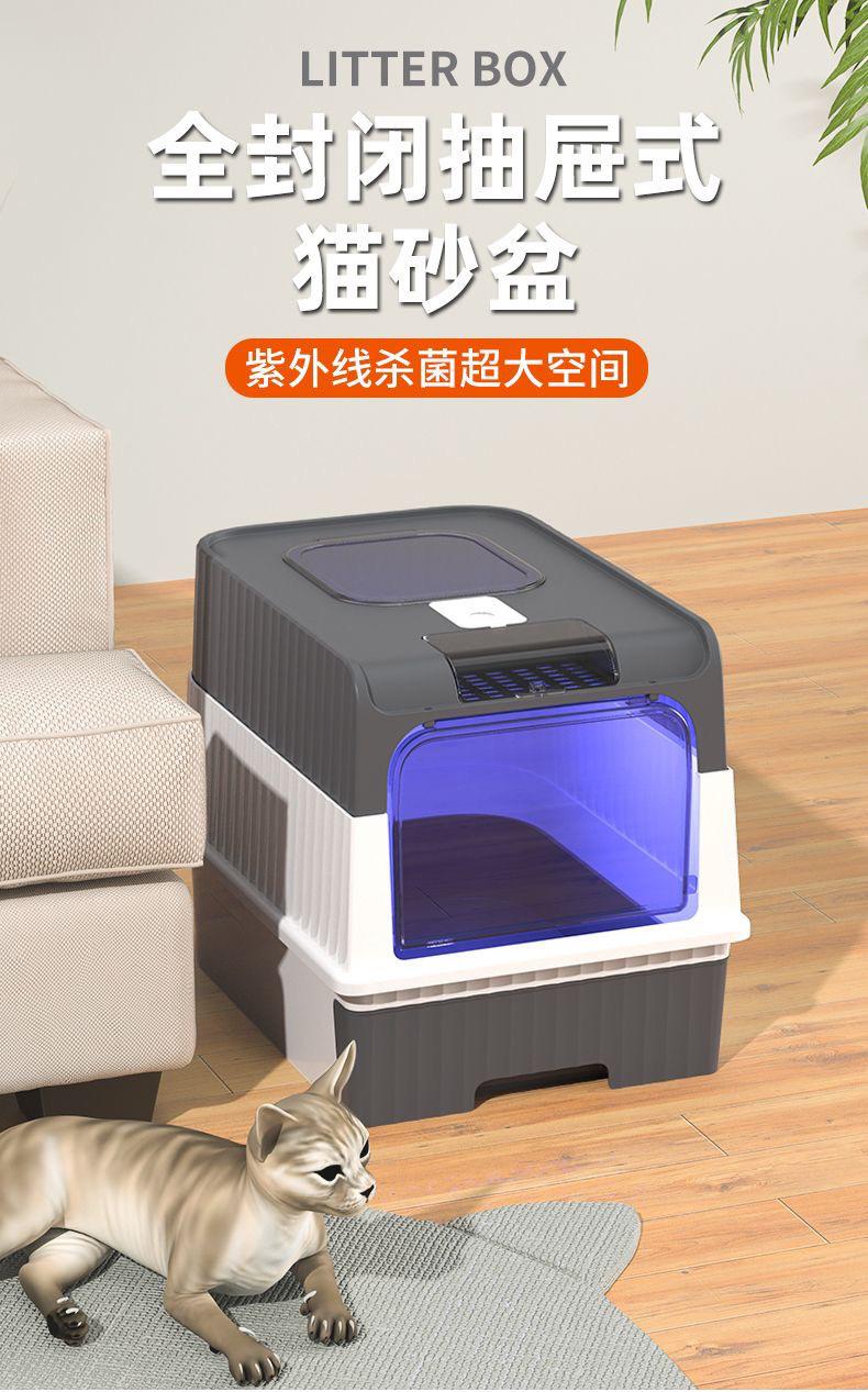 4cf7f1d7-98d6-4add-8ba1-aaaaf79862ca.jpe