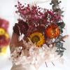 Bolsa de flores secas para manualidades, para el Día del Maestro, abanico de flores eternas, marco de fotos, vela de aromaterapia, corona de flores secas al por mayor