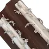 Decorações de Borboleta para Nail Art com Strass Lateral, Item Quente de Celebridade da Internet, Laço com Zircônia 3D Super Brilhante Prata para Decoração de Unhas