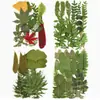 Planta Folha Verde Espécime Folhas Flores Secas Jardim de Infância Material Artesanal Adesivo Folhas Reais DIY Cola de Gota Moldura de Foto Embossado