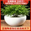 Jingdezhen Cerâmica Branca Pura Aquário de Mesa Bonsai Vaso de Flores Pequeno Cerâmica de Alta Temperatura Pote para Conservas Tigela Pequena para Lavar Chá Tigela para Lavar Canetas