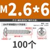 Tornillo autorroscante de cabeza redonda de acero inoxidable 304 cabeza de cruz cabeza plana alargado tornillo para madera tornillo pequeño M2.6M3M4M5M6