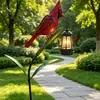 Novas luzes de solo de abóbora, lua e gato movidas a energia solar para o Festival dos Fantasmas, luzes de jardim e decorações de gato preto