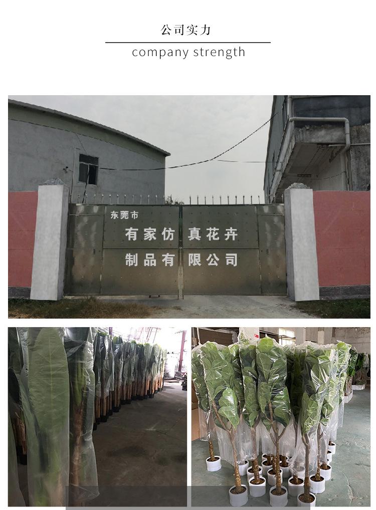 玻璃钢榕树_48