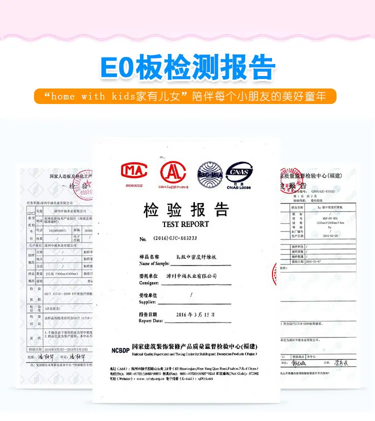 E0检测报告