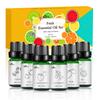 Aceite Esencial de Aromaterapia para Plantas de Venta Caliente Caja de Regalo Difusor Caja Magnética Plegable de Aceite Esencial de Aromaterapia Venta al por Mayor Juego de 6 Muestras