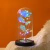 Cúpula de Vidro Rosa Colorida, Ornamentos de Mesa de Flor Eterna Luminosa, Presentes Criativos, Artesanato de Luz Noturna Atacado