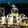 Botella de Pez Guppy Brillante, Acuario de Peces de Moda, Juguete para Niños, Tanque de Tortugas, Botella de Plástico, Tanque Portátil de Peces Dorados para Venta en Puesto