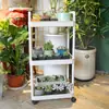 Prateleira de Chão com Escada de Múltiplos Níveis Personalizada com Braços Duplos para Sala de Estar Interna, Suporte para Flores, Suporte para Armazenamento de Suculentas, Suporte para Vasos de Flores Externo de Varanda