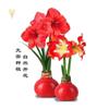 Dropshipping Bola de Cera de Amarilis Cera para Sellar Amarilis de Doble Pétalo Bulbo Planta en Maceta Floreciente Extra Grande Interior Balcón Persona Perezosa