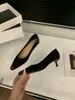 Scarpins rasos de camurça com bico fino e salto alto para mulheres, novo estilo outono 2026, sapatos pretos franceses para o trabalho para combinar com saias